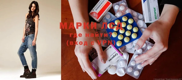 прущие грибы Коряжма