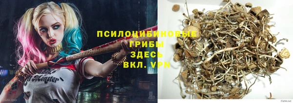 круглые Корсаков