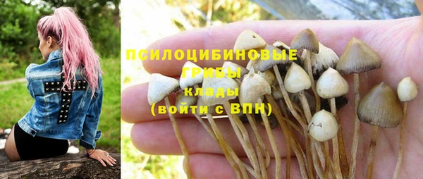 синтетический гашиш Краснослободск
