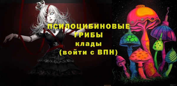 прущие грибы Коряжма