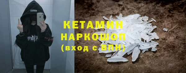 прущие грибы Коряжма