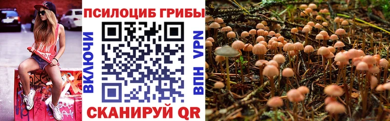 Псилоцибиновые грибы прущие грибы Лебедянь