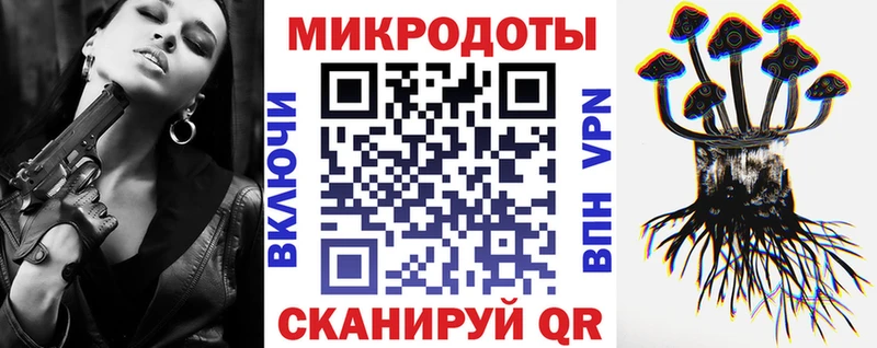 Галлюциногенные грибы Psilocybe Лебедянь